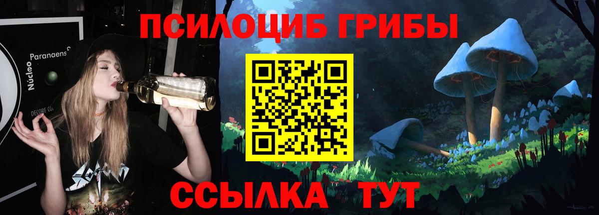 Галлюциногенные грибы мицелий  Вход с VPN  Псилоцибиновые грибы Cubensis  магазин  наркотиков  Можайск 